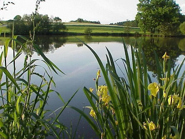 See-hotel Storchenmuehle Ξενοδοχείο